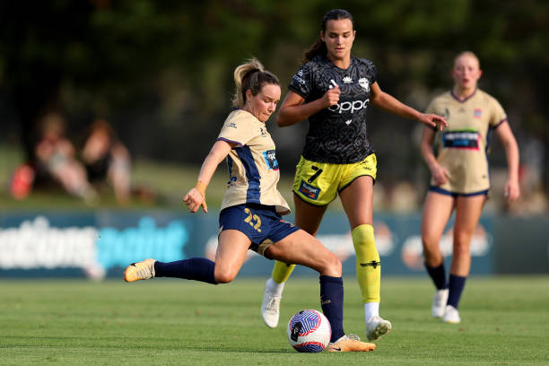 而非单纯的 而非单纯的